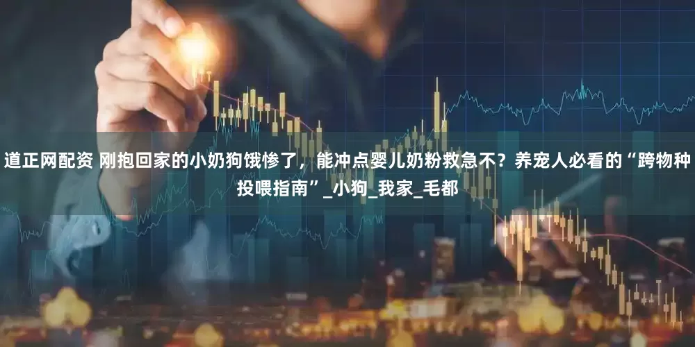 道正网配资 刚抱回家的小奶狗饿惨了，能冲点婴儿奶粉救急不？养宠人必看的“跨物种投喂指南”_小狗_我家_毛都