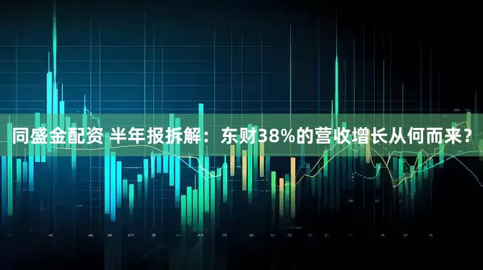 同盛金配资 半年报拆解：东财38%的营收增长从何而来？
