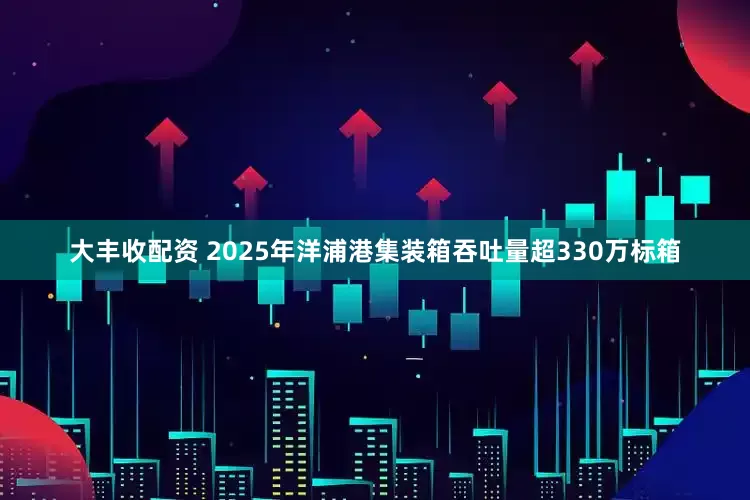 大丰收配资 2025年洋浦港集装箱吞吐量超330万标箱