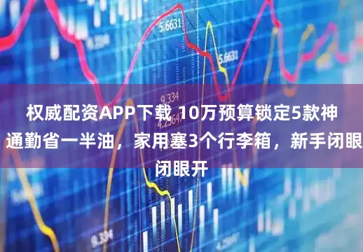 权威配资APP下载 10万预算锁定5款神车 通勤省一半油，家用塞3个行李箱，新手闭眼开